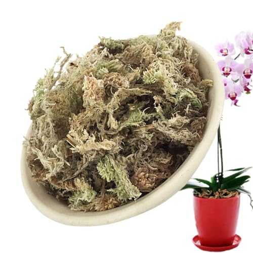 Sphagnum Moos für Pflanzen Orchideen Terrarium Blumenerde Zimmerpflanzen Feuchtigkeitsspendende Ernährung Organisches Torfmoos Organischer Dünger für Phalaenopsis 120g von Zuasdvnk