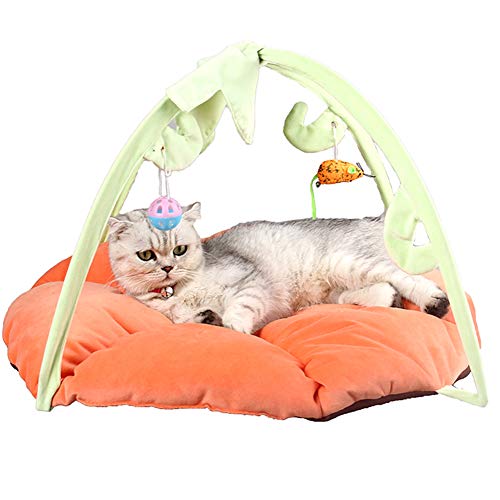 ZuckerTi Neues Katzenbett Katzenzelt Katzenkissen Tierkorb Tierbett Katzen Kitten Interaktives Katzenspielzeug Box mit individuelle Spielzeuge Katze Toys (Orange) von ZuckerTi