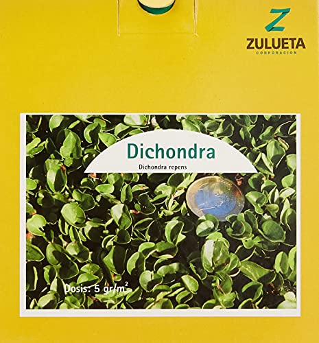 Zulueta DICHONDRA REPENS Dekorative Polsterung, 250 g von Zulueta