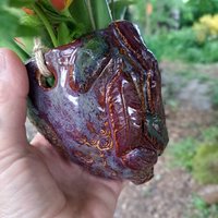 Blumenampel Blumenvase Blumentopf Hängepflanze von ZumbuntenHundDE