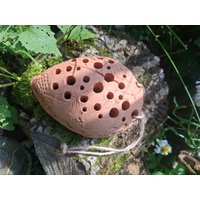Blumenampel Blumenvase Eidechse Echse Blumentopf Hängepflanze von ZumbuntenHundDE