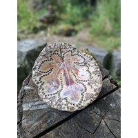 Schale Vogeltränke Heilsteine Karten Küche Affirmation Fengshui Spirituell von ZumbuntenHundDE