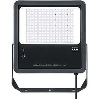 THORNeco LED-Fluter 840 LEOFLEXIP66120W840PC - 96635306 von Zumtobel Group