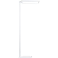 Zumtobel Group LED-Stehleuchte 940, ws, Sensor EPURIA DI #70497999 von Zumtobel Group