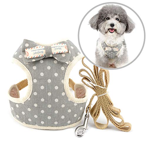 ZUNEA Hundegeschirr mit Leine Kleine Hunde Ausbruchsicher Welpe Katze Weste Geschirre Gehen Verstellbar Cute Polka Dot Kätzchen Geschirr mit Schleife Weich Mesh Gepolstert Brustgeschirre für Grau M von Zunea