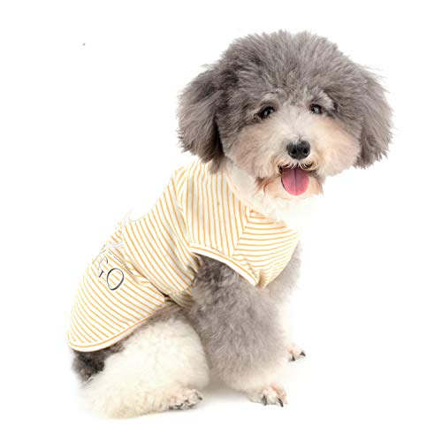 Zunea Hunde-T-Shirts für kleine Hunde, Mädchen und Jungen, gestreifte Weste, Sommer, Tanktop, Welpenkleidung, Haustier-Kleidung, Katzen, weiche Baumwolle, Chihuahua-Bekleidung, Gelb, Größe XL Zunea Hunde-T-Shirts für kleine Hunde, Mädchen und Jungen, gestreifte Weste, Sommer, Tanktop, Welpenkleidung, Haustier-Kleidung, Katzen, weiche Baumwolle, Chihuahua-Bekleidung, Gelb, Größe XL von Zunea