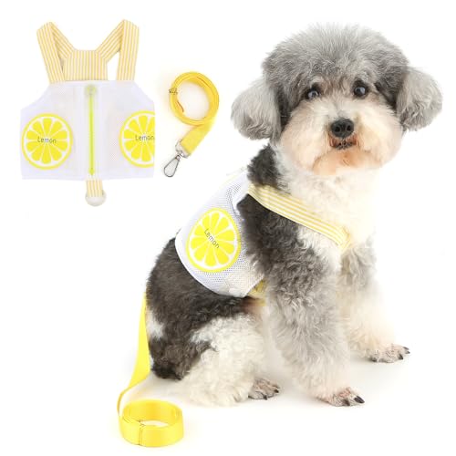 Zunea Hundegeschirr für kleine Hunde, kein Ziehen, weich, atmungsaktiv, Netzgewebe, Welpengeschirr und Leine, Set mit süßer Sommerkleidung, Reißverschluss, Größe XS/S, Haustierbekleidung für Chihuahua von Zunea