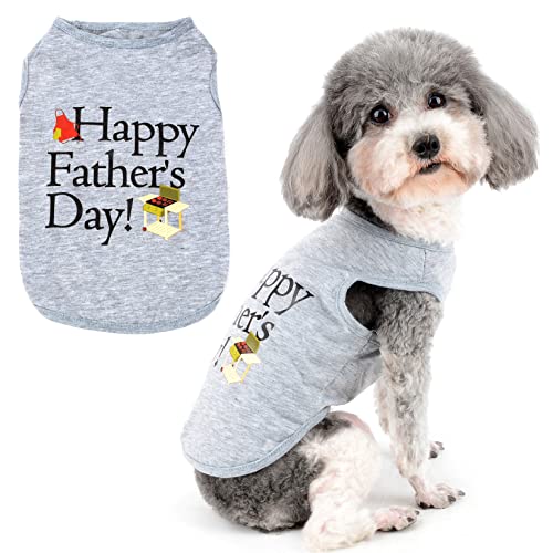 Zunea Hundeshirts für kleine Hunde Mädchen Jungen Sommer Weste T-Shirts Weiche Baumwolle Welpenkleidung Atmungsaktiv Ärmellos Tank Top Haustier Kleidung für Chihuahua Yorkie Grau L von Zunea