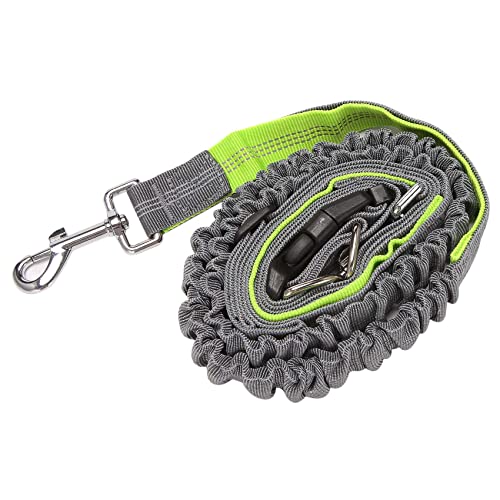Zunedhys Hundeleine, einziehbare Hundeleine, elastischer Bungee-Laufgürtel, Joggingleine mit Hüftgurt, Grün von Zunedhys