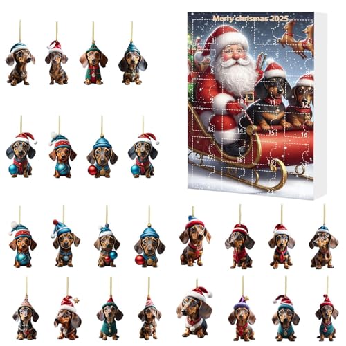 Weihnachtsab Advent Dachthund - Urlaubshund Countdown -Kalender, dekorative Anhängerverzierung | Saisonale Ausstellung mit Sammlerbrüche, festlich für Kinder Eltern Familienfeier Home Fireplace von Zunetsutock