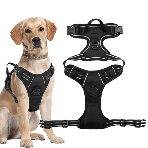 Anti-Ausweich-Hundegeschirr | Reflektierendes Geschirr ohne Zug | Sichern Sie das Geschirr ohne Start mit 2 Leinen-Clips | Verstellbares und bequemes Geschirr für kleine, mittelgroße und große Hunde Anti-Ausweich-Hundegeschirr | Reflektierendes Geschirr ohne Zug | Sichern Sie das Geschirr ohne Start mit 2 Leinen-Clips | Verstellbares und bequemes Geschirr für kleine, mittelgroße und große Hunde von Zunishaone