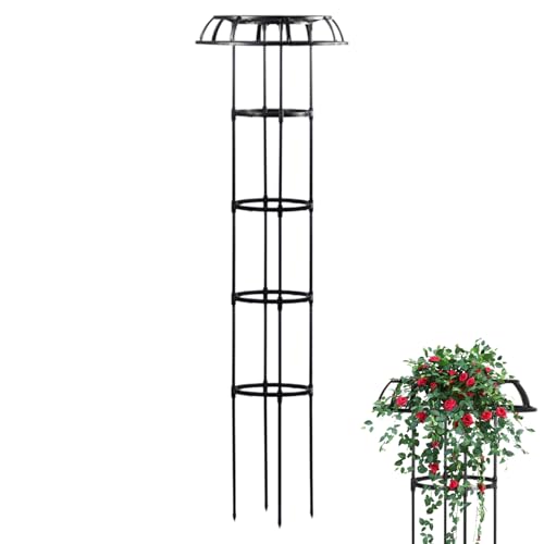 Blumenklettergerüst – Eisenwerk Rosenbogen, Clematis Klettergerüst | Rosenspalier Outdoor Hoch Pflanzenstützkäfig Stehender Gartenturm zum Klettern Reben Blumen Dekorative Struktur Blumenklettergerüst – Eisenwerk Rosenbogen, Clematis Klettergerüst | Rosenspalier Outdoor Hoch Pflanzenstützkäfig Stehender Gartenturm zum Klettern Reben Blumen Dekorative Struktur von Zunishaone