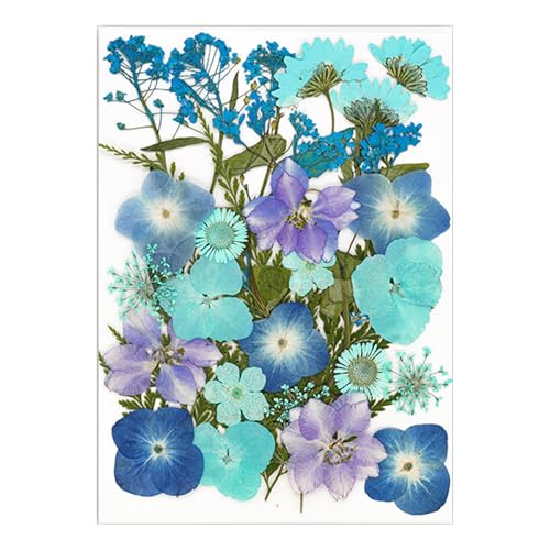 Natürliche Gepresste Getrocknete Für Epoxidharz Trockenblüten Und Blätter Für Seifen Kerzenschmuck Die Scrapbooking Grußkarte Machen von Zuoeay