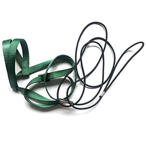 Papagei Vogelkabelbaum Leine Outdoor Aktivitäten Flieger Traktionsriemen Band Fliegerseil Für Kleine Sittiche Cockatiels Haustier Vorräte Für Welpen Strohseil Handgewebt von Zuoeay