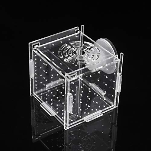 Zucht Für Panzer Aquarium Kleine Fischbraten Isolation Box Hatchy Boxen Tropische Fische Klares Acryl 3 2x3.2x3.2 I Aquarium Tankreiniger Werkzeug Zucht Für Panzer Aquarium Kleine Fischbraten Isolation Box Hatchy Boxen Tropische Fische Klares Acryl 3 2x3.2x3.2 I Aquarium Tankreiniger Werkzeug von Zuoeay