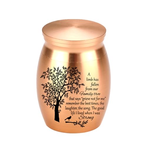 Zuoeay Einfache Sargasche Asche Jar Gefäß Asche Für Haustier Urne Carving Memorial Kleines Glas Behälter Haustier Einäscherung Zuoeay Einfache Sargasche Asche Jar Gefäß Asche Für Haustier Urne Carving Memorial Kleines Glas Behälter Haustier Einäscherung von Zuoeay