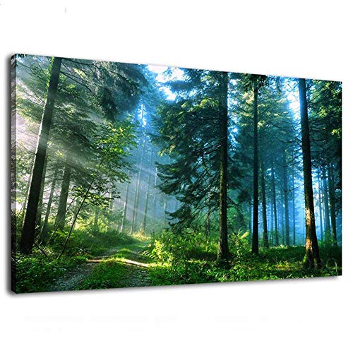 DIY 5D Diamant Malerei Kits Große Größe Wald am frühen Morgen 50x150cm Vollbohrer Kristall Strass Kreuzstich Stickerei Full Diamond Painting Erwachsene/Kinder Diamant Bilder Art Home Wall Decor von Zuoyun