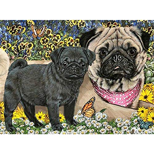 Diamond Painting Kits Full Drill DIY 5D Diamond Embroidery Large Size Animal Black Pug 25x30cm/10 * 12in Cross Stitch Adults/Kids Paste Crystal Rhinestone Diamond Art Craft Living bedroom Wall Decor Diamond Painting Kits Full Drill DIY 5D Diamond Embroidery Large Size Animal Black Pug 25x30cm/10 * 12in Cross Stitch Adults/Kids Paste Crystal Rhinestone Diamond Art Craft Living bedroom Wall Decor von Zuoyun