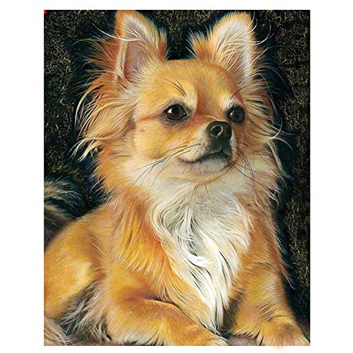 Diamond Painting Kits Full Drill DIY 5D Diamond Embroidery Large Size Chihuahua Dog 70x100cm/28*40in Cross Stitch Adults/Kids Paste Crystal Rhinestone Diamond Art Craft Home Living bedroom Wall Decor Diamond Painting Kits Full Drill DIY 5D Diamond Embroidery Large Size Chihuahua Dog 70x100cm/28*40in Cross Stitch Adults/Kids Paste Crystal Rhinestone Diamond Art Craft Home Living bedroom Wall Decor von Zuoyun