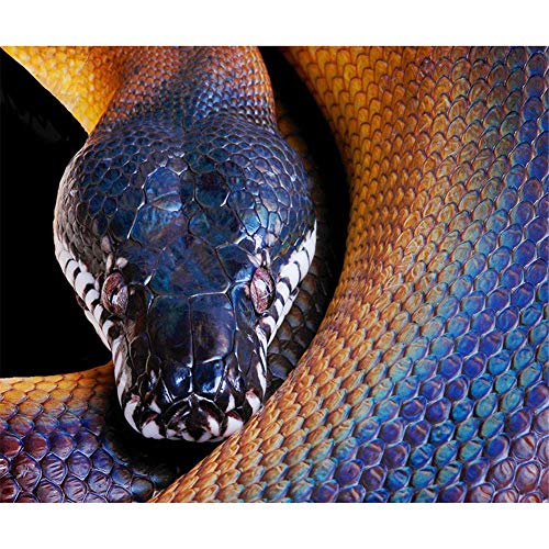 Diamond Painting Kits Full Drill DIY 5D Diamond Embroidery Large Size Snake 45x60cm/18*24in Cross Stitch Adults/Kids Handcraft Paste Crystal Rhinestone Diamond Art Craft Home Living bedroom Wall Decor von Zuoyun