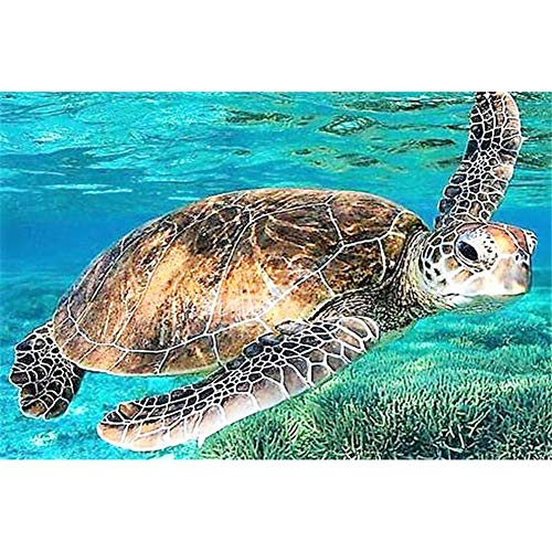 Diamond Painting Kits Full Drill DIY 5D Diamond Embroidery Large Size Turtle 30x40cm/12 * 16in Cross Stitch Adults/Kids Paste Crystal Rhinestone Diamond Art Craft Home Living bedroom Wall Decor Diamond Painting Kits Full Drill DIY 5D Diamond Embroidery Large Size Turtle 30x40cm/12 * 16in Cross Stitch Adults/Kids Paste Crystal Rhinestone Diamond Art Craft Home Living bedroom Wall Decor von Zuoyun