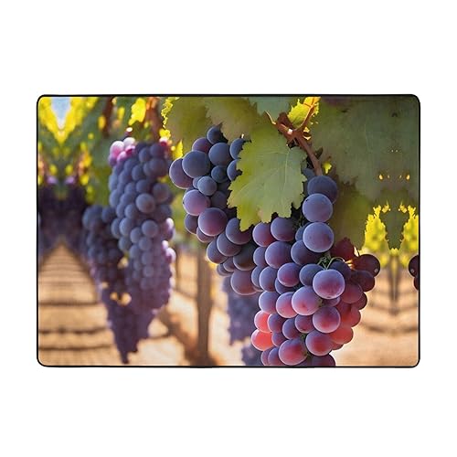 Desert Grapes Teppich, 203 x 147 cm, bequem, weich, verschleißfest, rutschfest, geeignet für Schlafzimmer, Wohnzimmer und andere Szenen. von Zuroj