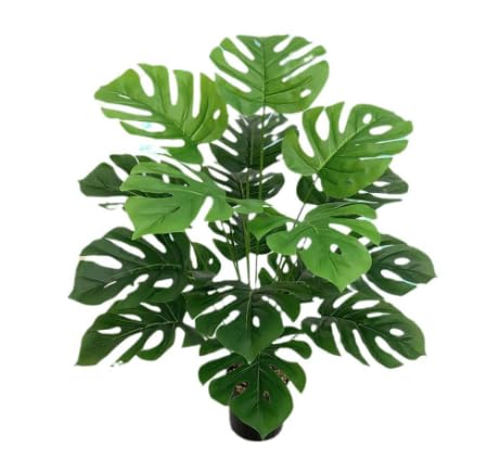 Zuxbolf Künstliche Pflanzen 71cm Groß Monstera Pflanze Künstlich Kunstpflanzen Grün Plastikpflanzen Tropische Palme mit 24 Blättern Monstera Baum im Topf für Zuhause Wohnzimmer Büro Balkon Dekoration Zuxbolf Künstliche Pflanzen 71cm Groß Monstera Pflanze Künstlich Kunstpflanzen Grün Plastikpflanzen Tropische Palme mit 24 Blättern Monstera Baum im Topf für Zuhause Wohnzimmer Büro Balkon Dekoration von Zuxbolf