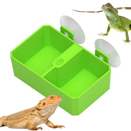 Futterschale für Reptilien – Futterschale für Chamäleon mit 2 Gittern | Futterstation für Reptilien mit abnehmbarem Saugnapf | Futterschale für Reptilien, kleine Wasserschale für Gecko, Eidechse von Zvn Zojne