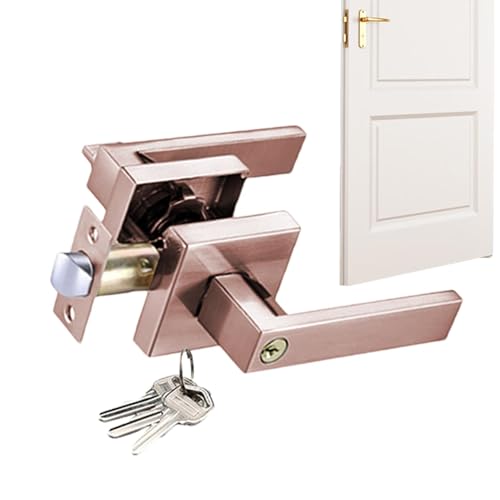 Innentürknöpfe mit Schloss – Innentürgriffe mit 3 Stangen | geräuscharmer Türgriff aus Aluminium mit Schlüsseln | robuster Türgriff für Eingangstüren von Zvn Zojne