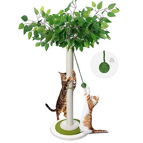 Zvonema Kratzbaum-Kratzstamm mit 80 cm Kratzsäule Für Klein und Große Katzen,Katzenkratzbaum Sisal-Seil mit 1 Interaktiven bällen,Kratzstange Katzenmöbel,Für Indoor-aktivität, Spiel von Zvonema