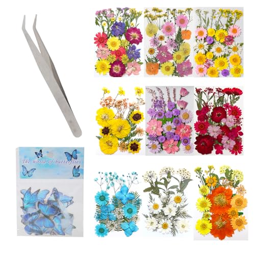 Natürliche gepresste getrocknete Blume mit Pinzette, Schmetterlings-Aufkleber für Epoxidharz, Seife, Schmuckherstellung, Scrapbooking, Trockenblumenarrangement Natürliche gepresste getrocknete Blume mit Pinzette, Schmetterlings-Aufkleber für Epoxidharz, Seife, Schmuckherstellung, Scrapbooking, Trockenblumenarrangement von ZwaitL
