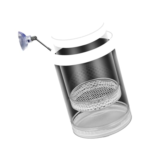 Schwimmende Fischzuchtbox, Netz-Design, sichere Fisch-Lebensraum-Isolationsbehälter für Braten Garnelen, einfache Einrichtung, kompakte Isolationsbox Schwimmende Fischzuchtbox, Netz-Design, sichere Fisch-Lebensraum-Isolationsbehälter für Braten Garnelen, einfache Einrichtung, kompakte Isolationsbox von ZwaitL