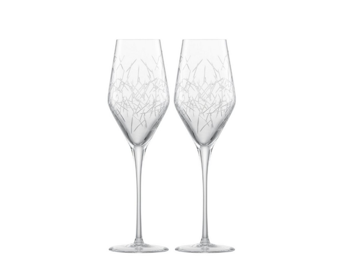 Zwiesel Glas Champagnerglas Bar Premium No. 3 by Charles Schumann, Glas, 253 ml / h: 240 mm Zwiesel Glas Champagnerglas Bar Premium No. 3 by Charles Schumann, Glas, 253 ml / h: 240 mm von Zwiesel Glas