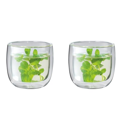 ZWILLING 39500-077-0 tea glass Transparent 2 pc(s) 240 ml von ZWILLING