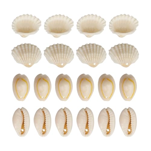 1 Set Natural Shell Perlen Mit Hole Beach Conch Shells Bastelvorräte Für Schmuckherstellung Und Handwerkendekoration 1 Set Natural Shell Perlen Mit Hole Beach Conch Shells Bastelvorräte Für Schmuckherstellung Und Handwerkendekoration von Zxfdsfdbnm