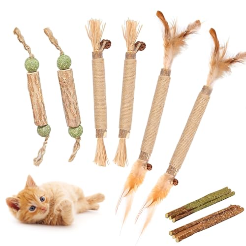 Zydiwo 12 Stück Katzenminze Sticks Set Matatabi Stick Katze Katzen Kaustangen Sticks für Kätzchen Zähne Reinigen Appetit Erhöhen Angst und Stress Lindern (Stil 2) von Zydiwo