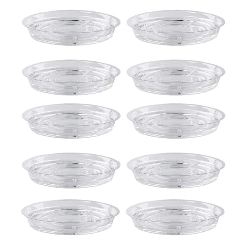 Zymoplas Untertasse Basis PET Entwässerung Sammlung Heimbedarf Groove atmungsaktiv Blumentopf Wasser Tropfplatte Zimmerpflanze Tablett, 10 Zoll von Zymoplas