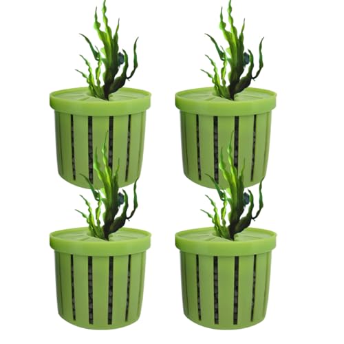 Zyntora Aquarien Pflanzenbehälter - Stabiler Pflanzenkorb für Fischbecken - Dekorativer Wasserpflanzen Halter, Wasserdékor Für Aquarien In Wohnung, Büro Und Restaurant von Zyntora