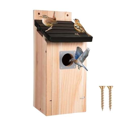 Zyntora Vogelhäuser für draußen - Kolibrihäuser für draußen hängend - Holzhütte hängbar Vogelhaus Natürliche Dekoration für Garten Terrasse Innen Haus Baum Balkon Rasen Zyntora Vogelhäuser für draußen - Kolibrihäuser für draußen hängend - Holzhütte hängbar Vogelhaus Natürliche Dekoration für Garten Terrasse Innen Haus Baum Balkon Rasen von Zyntora