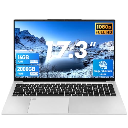 Zyphionix 17.3 Zoll Laptop Windows 11, 16GB RAM 2000GB SSD ROM Laptop, LPDDR4,Versteckte Kamera，Celeron N5095(Up to 2.9 GHz), 5000 mAh,3 xUSB 3.0(Silber, 16GB+2000G SSD) von Zyphionix