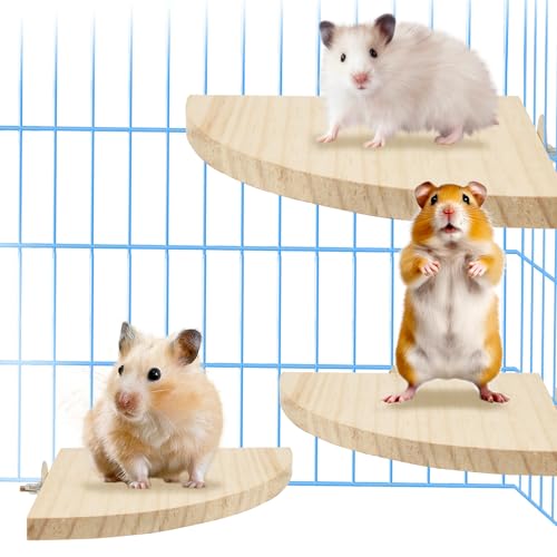 Keboyoe 3Pcs Hamster Sprungbrett Kleintier Plattform Springboard Plattform für Papageien,Eichhörnchen,Hamster (Groß,Mittel und Klein) von Keboyoe