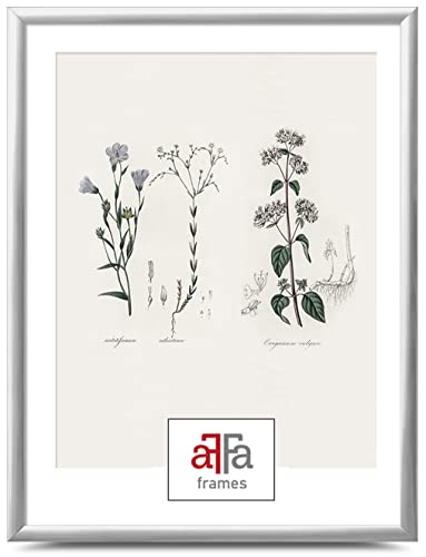 aFFa frames Plastik Bilderrahmen, photo frame, klassisches Design Geeignet für Bilder Poster Diplome bilderrahmen 40x50 cm Farbe Silber aFFa frames Plastik Bilderrahmen, photo frame, klassisches Design Geeignet für Bilder Poster Diplome bilderrahmen 40x50 cm Farbe Silber von aFFa frames