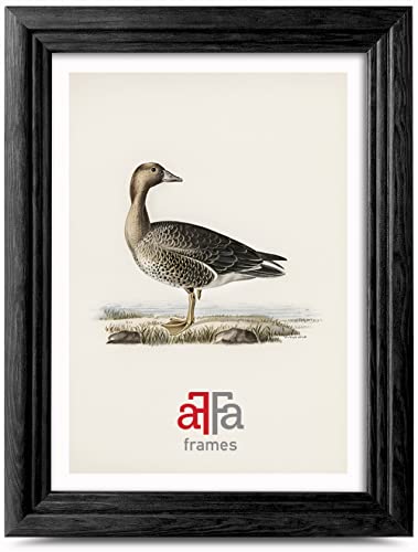 aFFa frames Retro Holz Bilderrahmen Elegant Stilvoll Klassisches Design Geeignet für Bilder Fotos Diplome Abschlusszeugnisse 18x24 cm Farbe Schwarz von aFFa frames