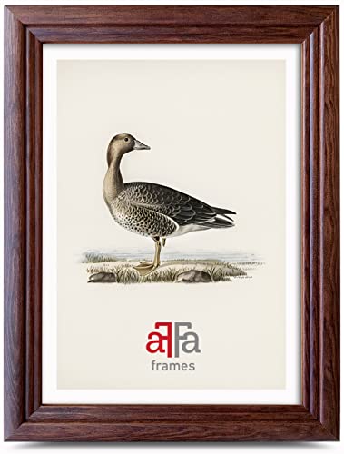 aFFa frames Retro Holz Bilderrahmen Elegant Stilvoll Klassisches Design Geeignet für Bilder Fotos Diplome Abschlusszeugnisse 21x29,7 cm Farbe Braun von aFFa frames