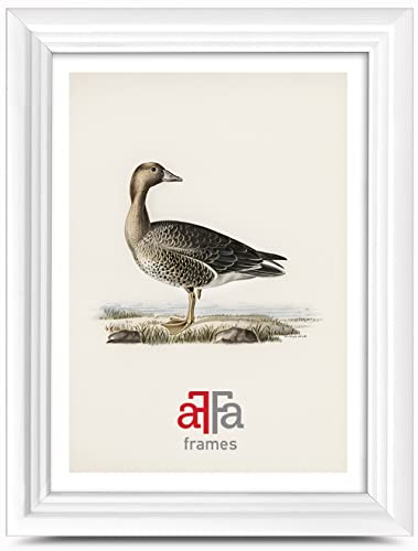 aFFa frames Retro Holz Bilderrahmen Elegant Stilvoll Klassisches Design Geeignet für Bilder Fotos Diplome Abschlusszeugnisse 21x29,7 cm Farbe Weiß von aFFa frames