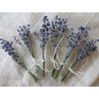 Mini Getrocknete Lavendel Blumensträuße Ernte 2024, Hochzeitsgeschenke Mini Getrocknete Lavendel Blumensträuße Ernte 2024, Hochzeitsgeschenke von aPEARLinTHYME