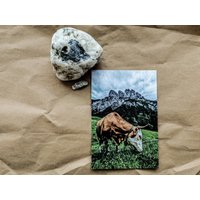 Kuh Auf Der Weide Mühlsturzhörner - Alpen Bayern Ramsau Berchtesgaden Bauer Karte Postkarte Bild Panorama Fotodruck Alm Geschenk Wandbild Kuh Auf Der Weide Mühlsturzhörner - Alpen Bayern Ramsau Berchtesgaden Bauer Karte Postkarte Bild Panorama Fotodruck Alm Geschenk Wandbild von aTONIart