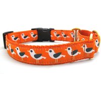 Möwe-Martingal Mit Stummellenker Nylon Gurtband, 1" Breite Größen Sml - Xxl, 2 Tolle Farben von abeeshive