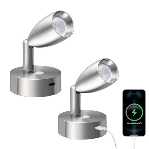 acegoo 12V Spot Leselampe mit Typ C Schnellladegerät Wohnmobil LED Dimmbar Bett Lampe, Flexible DC 24V 3200K Wandmontage, für Boot Wohnwagen Camper Van Yacht Innenbeleuchtung(Nickel gebürstetl, 2) von acegoo