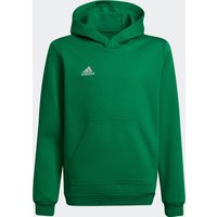 adidas Performance Kapuzensweatshirt "ENT22 HOODY Y" von adidas performance